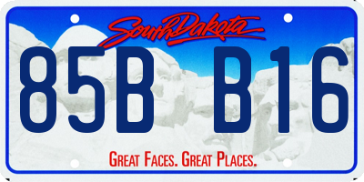 SD license plate 85BB16