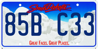 SD license plate 85BC33