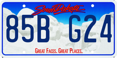 SD license plate 85BG24