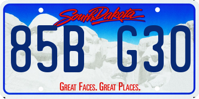 SD license plate 85BG30