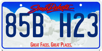 SD license plate 85BH23