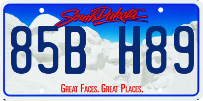 SD license plate 85BH89