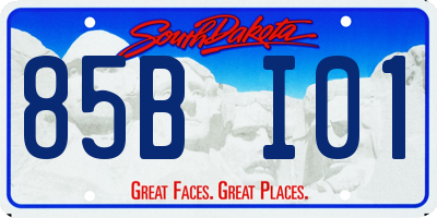 SD license plate 85BI01