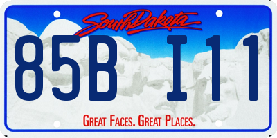SD license plate 85BI11