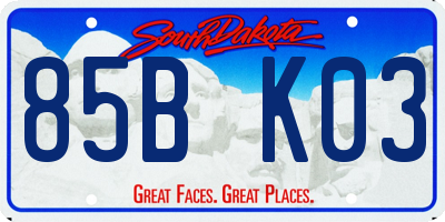 SD license plate 85BK03