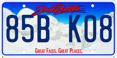 SD license plate 85BK08