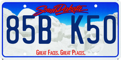 SD license plate 85BK50