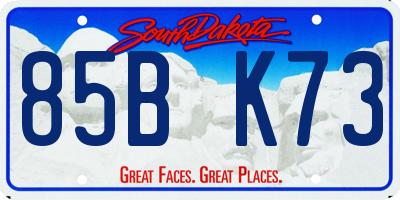 SD license plate 85BK73