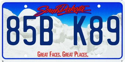 SD license plate 85BK89