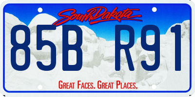 SD license plate 85BR91
