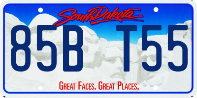 SD license plate 85BT55