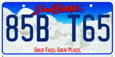 SD license plate 85BT65