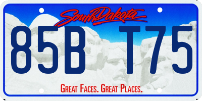 SD license plate 85BT75
