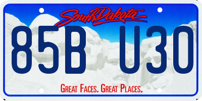 SD license plate 85BU30