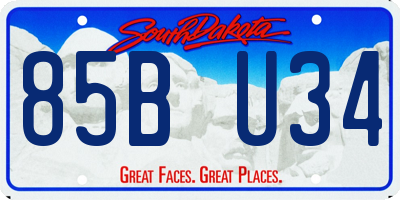 SD license plate 85BU34