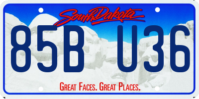 SD license plate 85BU36