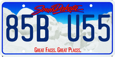 SD license plate 85BU55