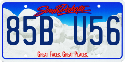 SD license plate 85BU56