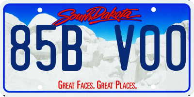 SD license plate 85BV00