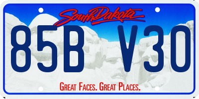SD license plate 85BV30