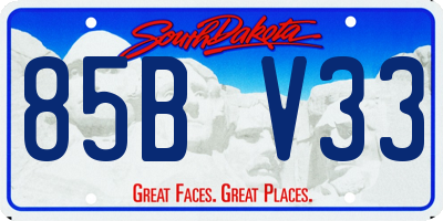 SD license plate 85BV33