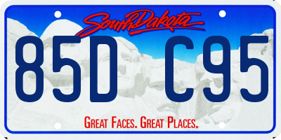 SD license plate 85DC95