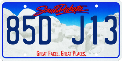 SD license plate 85DJ13