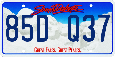 SD license plate 85DQ37