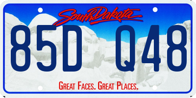 SD license plate 85DQ48
