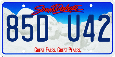 SD license plate 85DU42