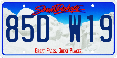 SD license plate 85DW19