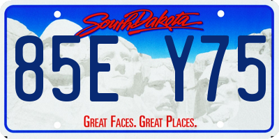 SD license plate 85EY75