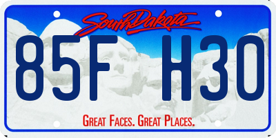 SD license plate 85FH30