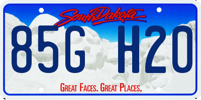 SD license plate 85GH20
