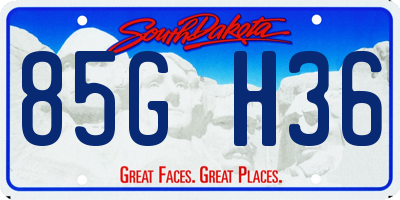 SD license plate 85GH36