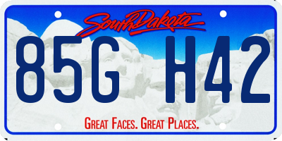 SD license plate 85GH42