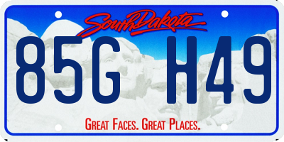 SD license plate 85GH49