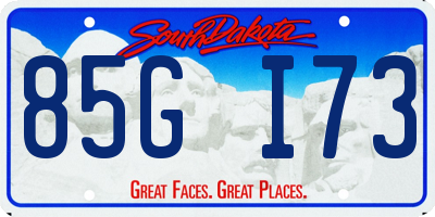 SD license plate 85GI73