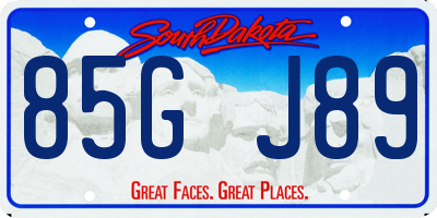 SD license plate 85GJ89