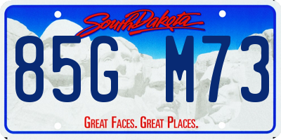 SD license plate 85GM73