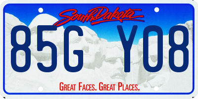 SD license plate 85GY08