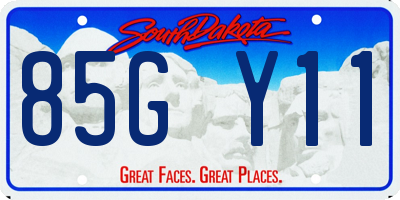 SD license plate 85GY11