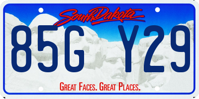 SD license plate 85GY29