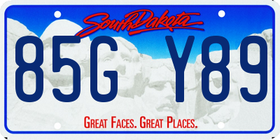 SD license plate 85GY89