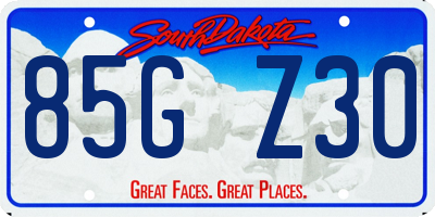 SD license plate 85GZ30