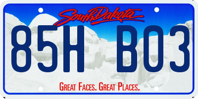 SD license plate 85HB03