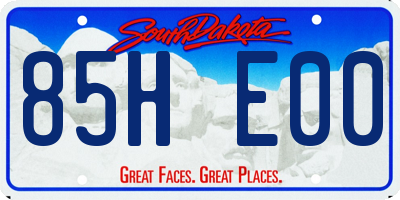 SD license plate 85HE00
