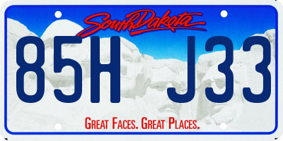 SD license plate 85HJ33