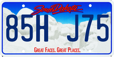 SD license plate 85HJ75