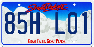 SD license plate 85HL01